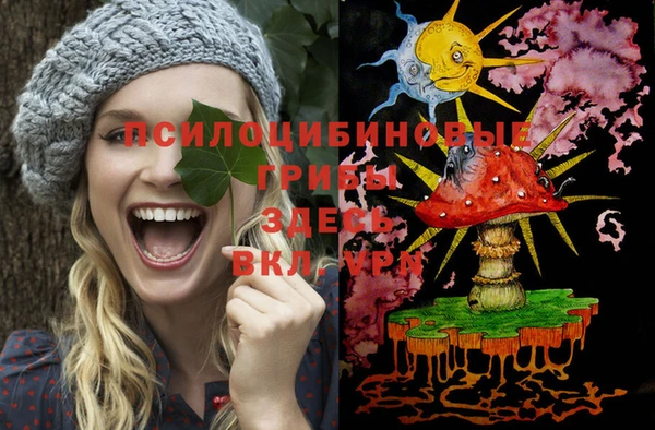 ECSTASY Пестово
