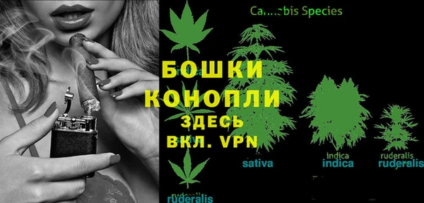 ECSTASY Пестово