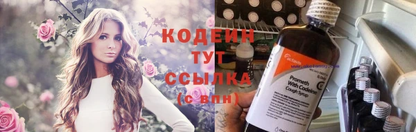 СК Осинники