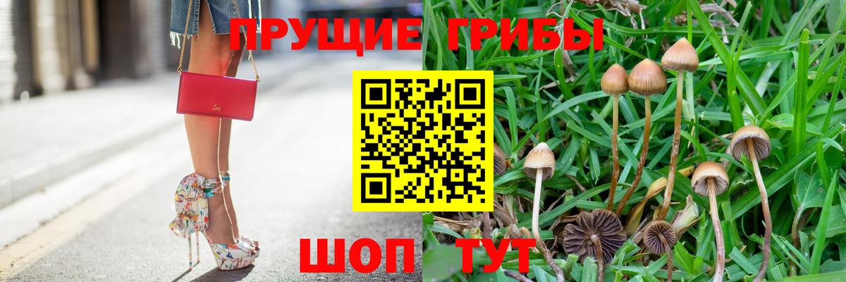 Ревда  Псилоцибиновые грибы ЛСД  где можно купить   Вход с VPN 